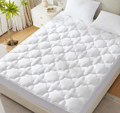  An inflatable mattress that is used as a bed 